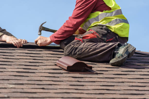 Best Roof Gutter Cleaning  in North Eagle Butte, SD